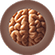 Brain Logo