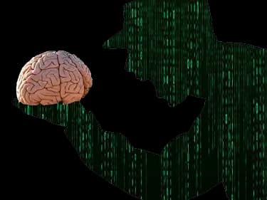 Drill Sergeant mobile